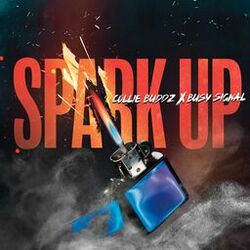 Cover of Spark Up
