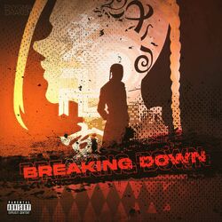 Cover of Breaking Down