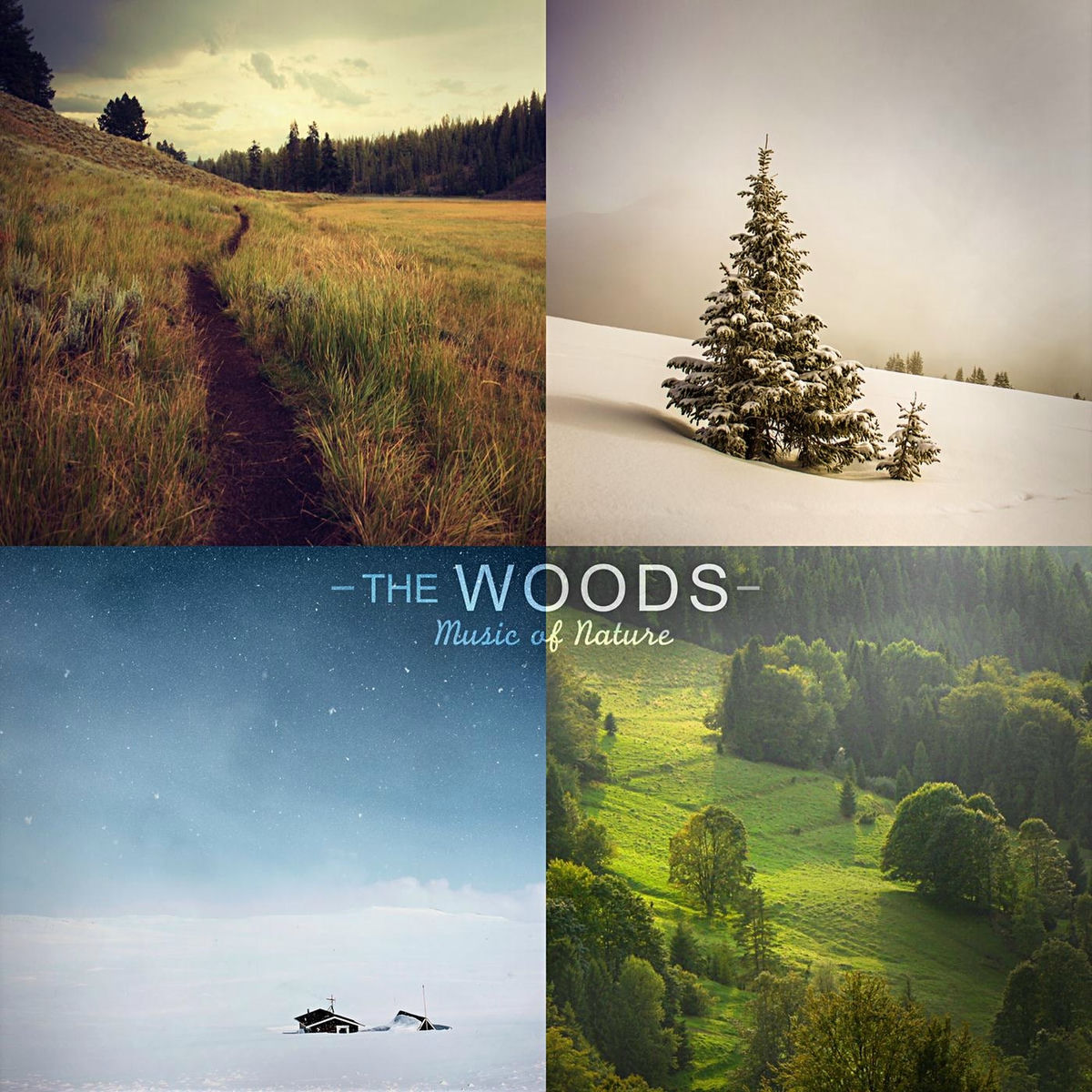 Album cover of Bubbling Brook in the Forest