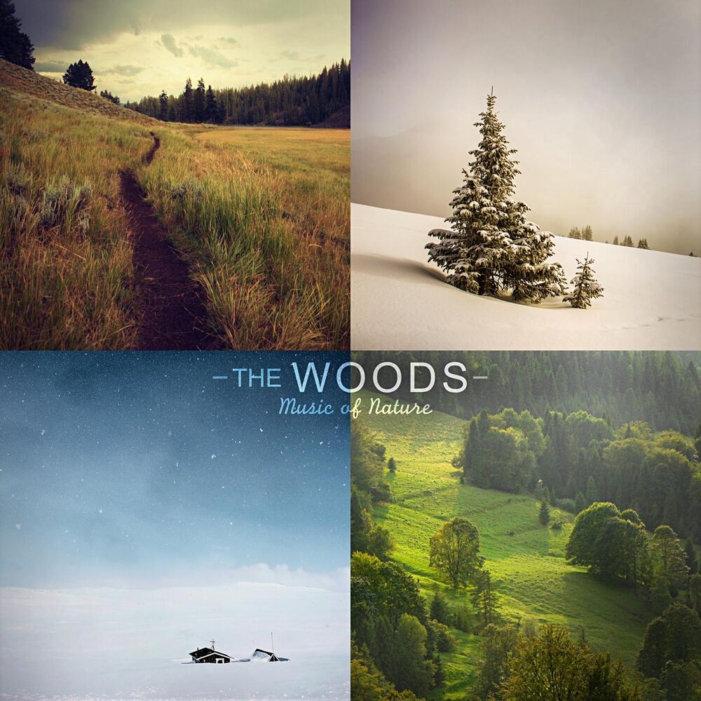 Picture of The Woods (Nature Sounds, Birds, Rain, Thunderstorm, Brook, Forest, Ocean Waves, Crickets, Peaceful, Lullaby, Sleep, Sleeping, Sou