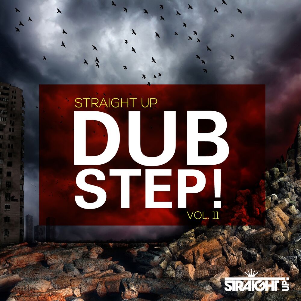 Picture of Straight Up Dubstep! Vol. 11