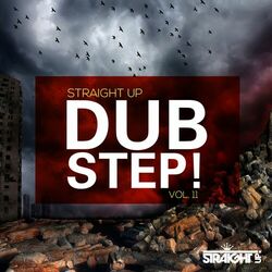Cover of Straight Up Dubstep! Vol. 11