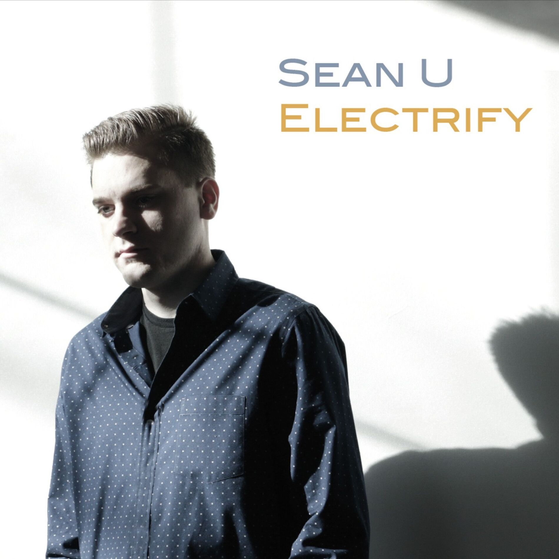 Album cover of Electrify