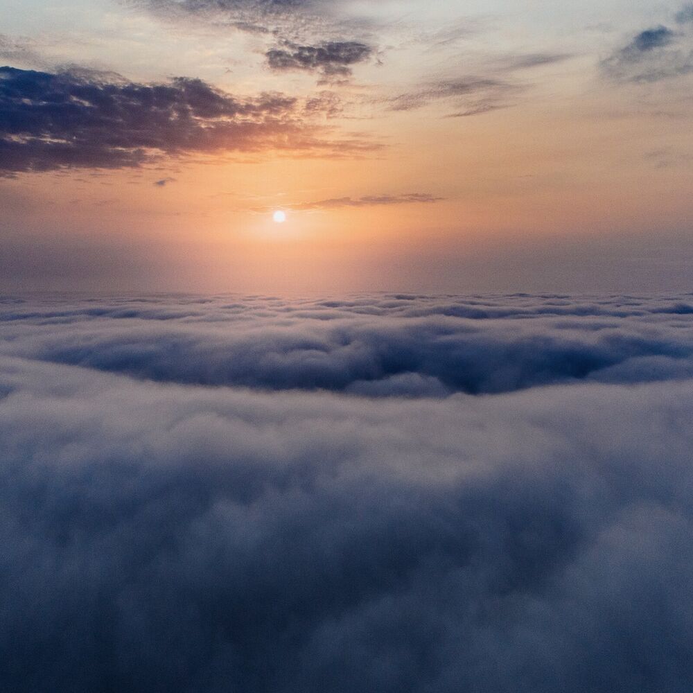 Picture of Calm Down