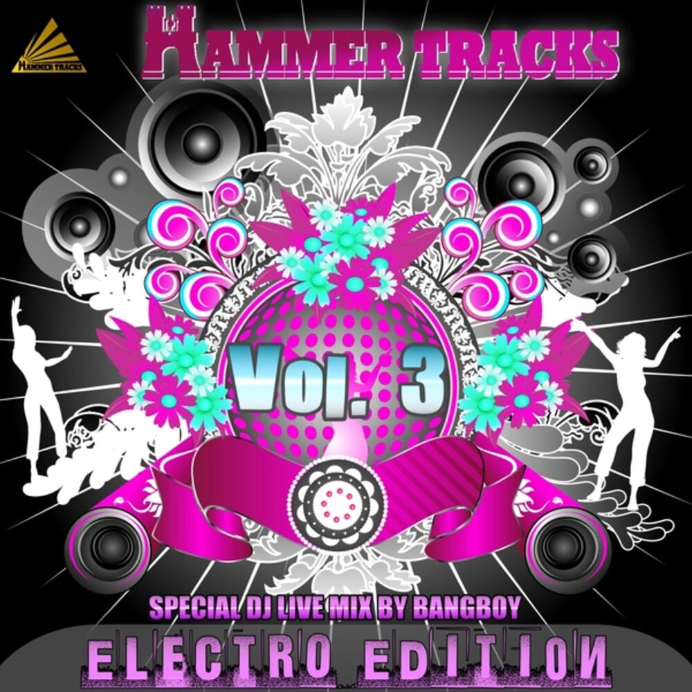 Picture of Hammer Tracks Vol.3 (Electro Edition)
