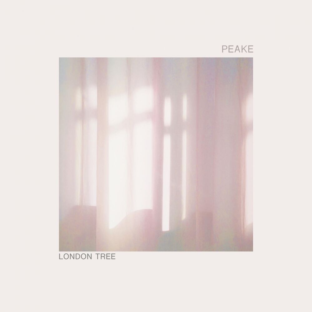 Picture of London Tree