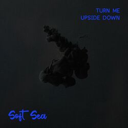 Cover of Turn Me Upside Down