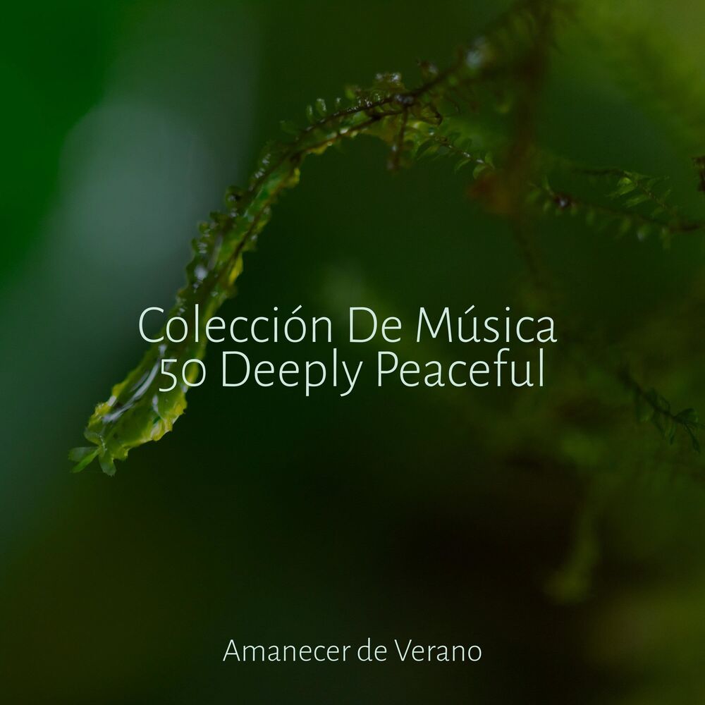Picture of Colección De Música 50 Deeply Peaceful