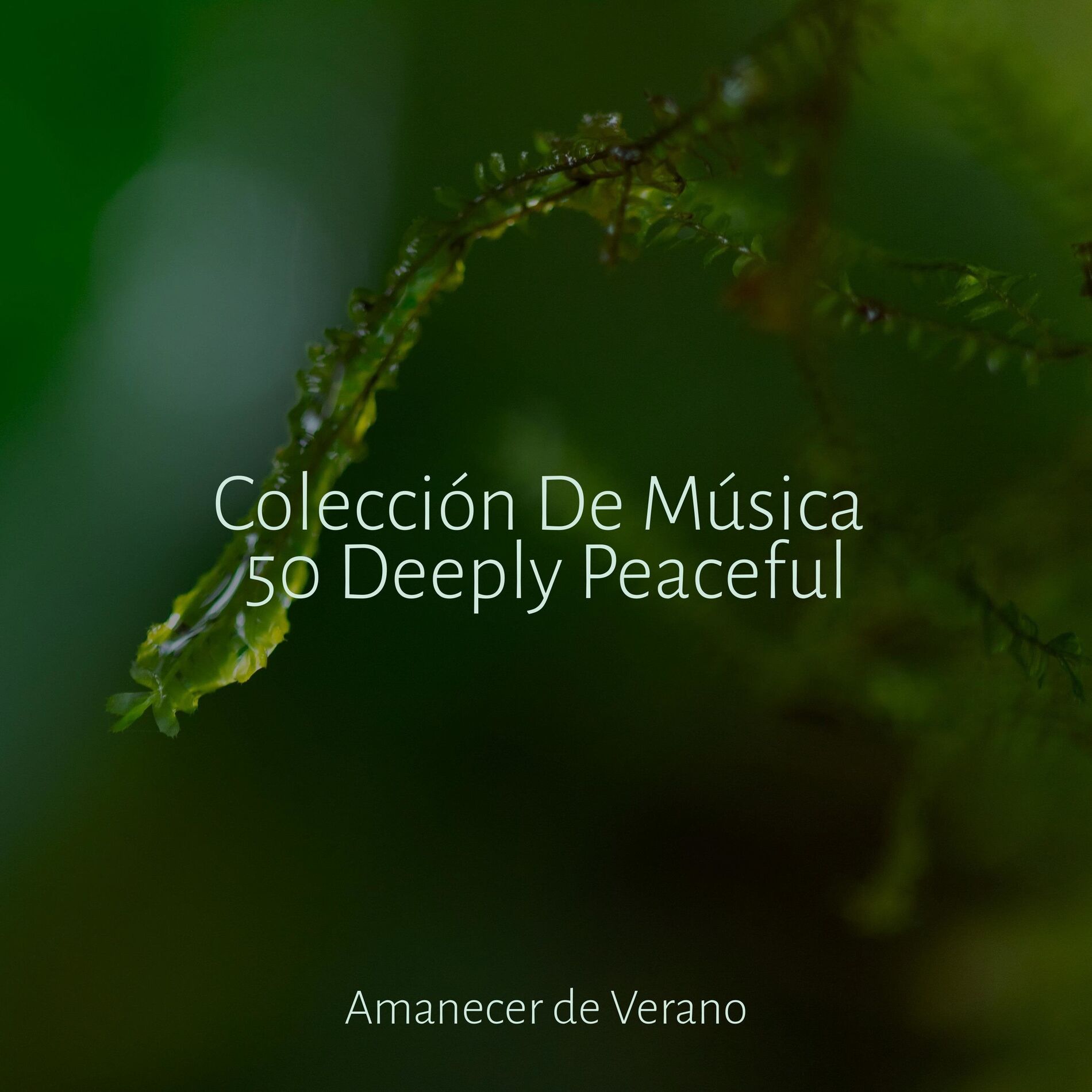 Album cover of Colección De Música 50 Deeply Peaceful