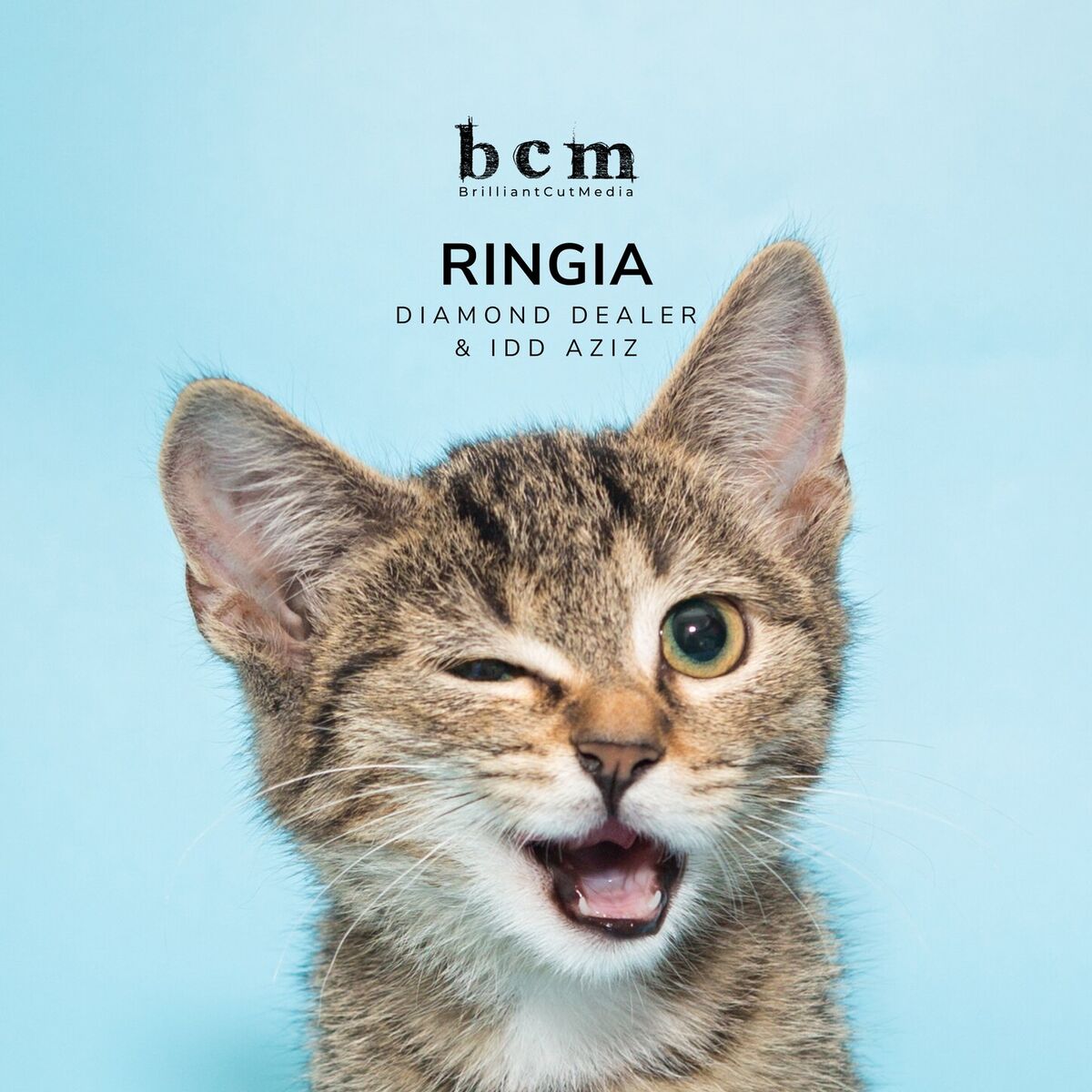 Album cover of RINGIA