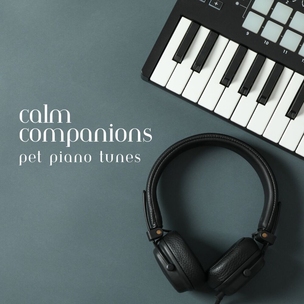 Picture of Calm Companions: Pet Piano Tunes