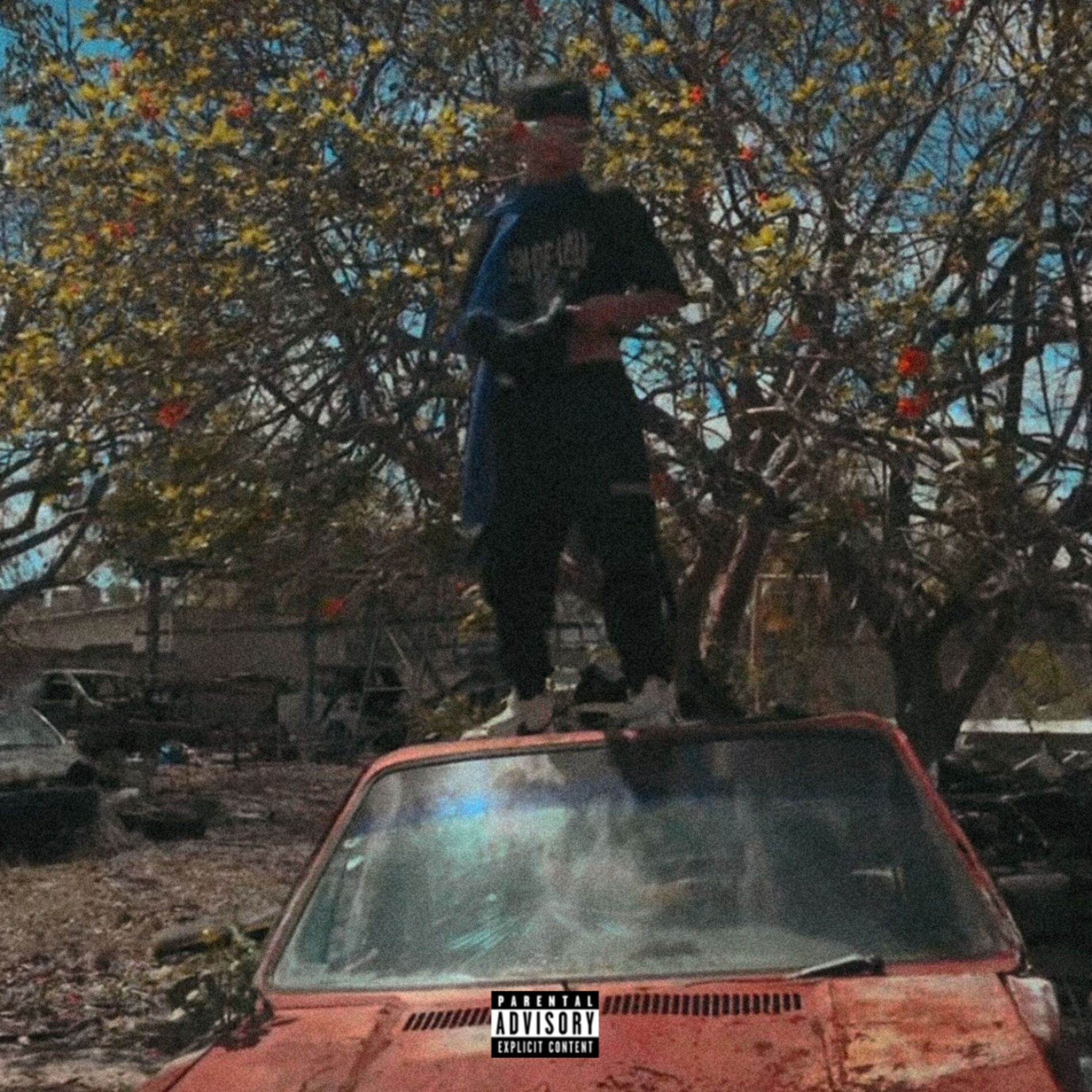 Album cover of PAYDAY