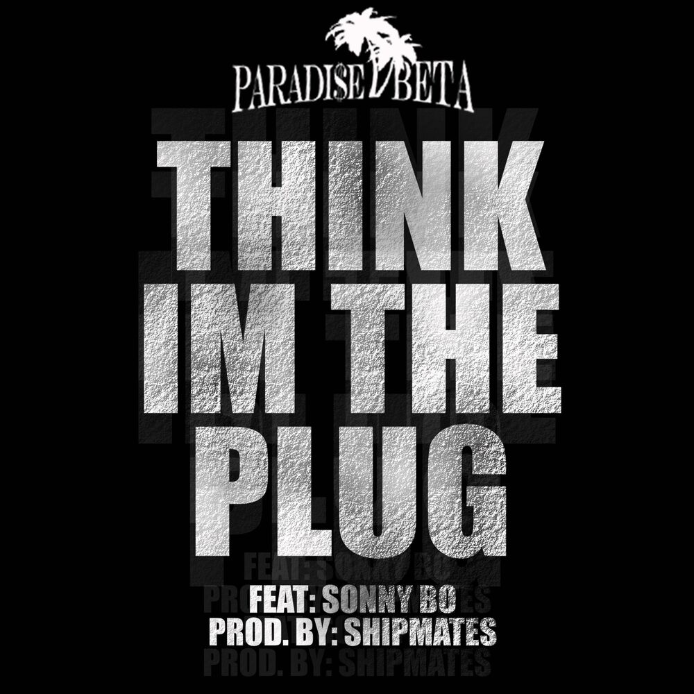 Picture of Think I'm the Plug (feat. Sonny Bo)