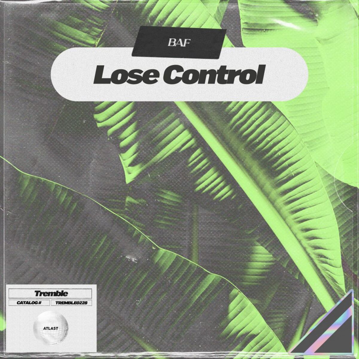 Album cover of Lose Control