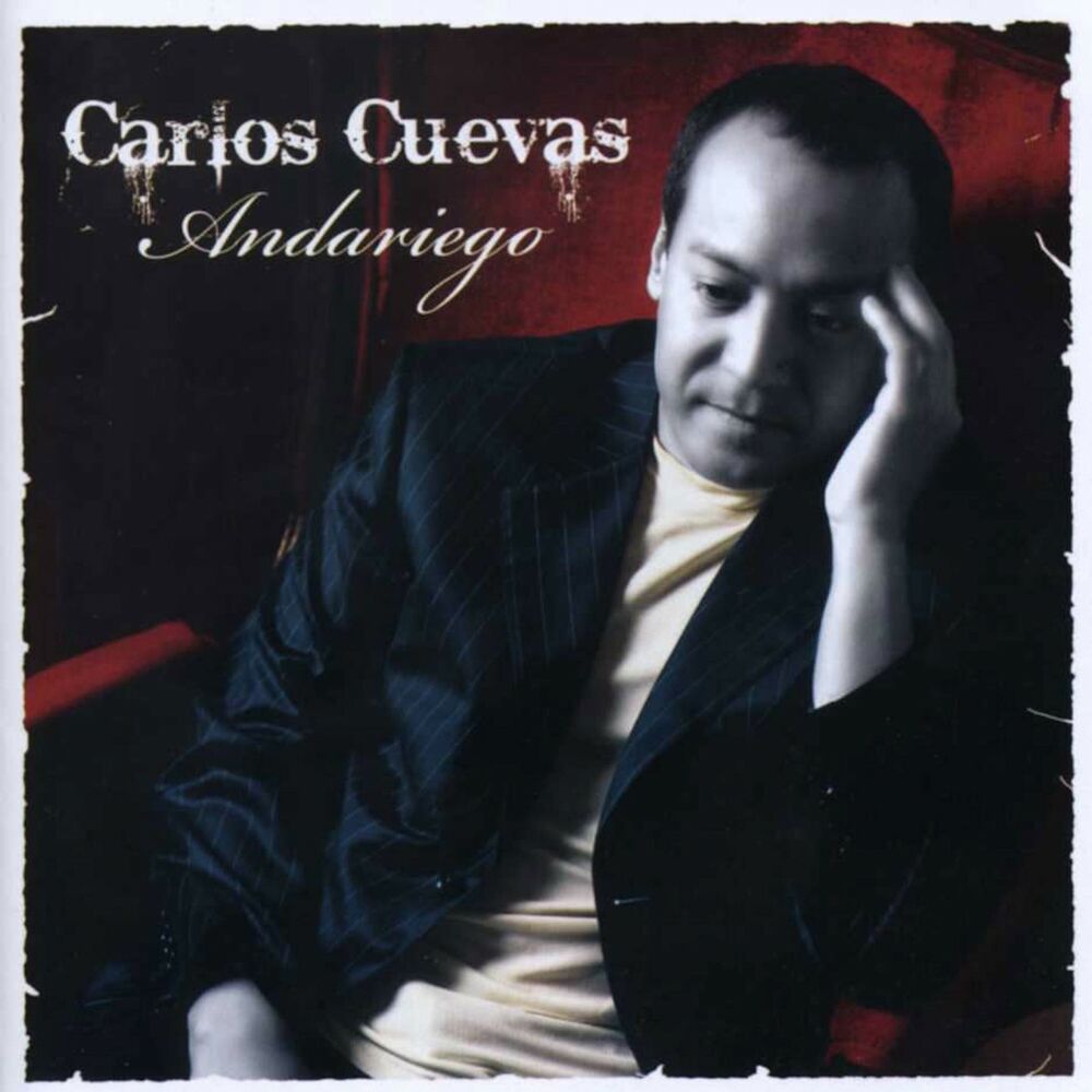 Picture of Andariego