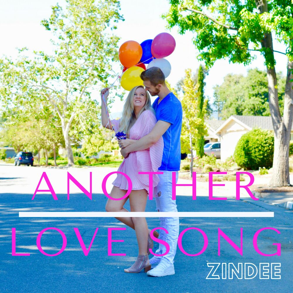 Picture of Another Love Song