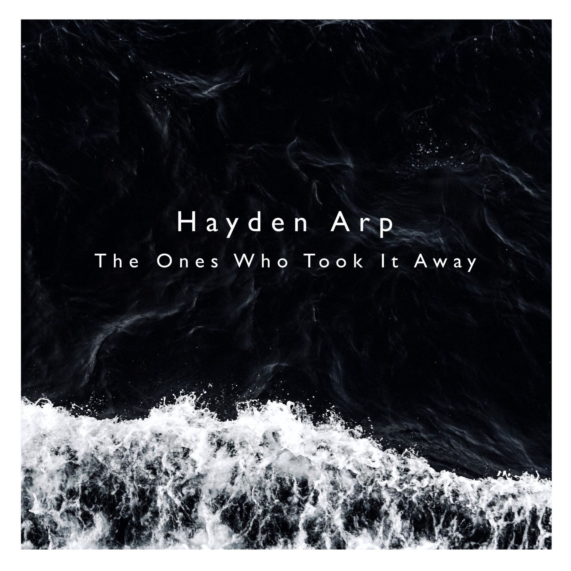 Album cover of The Ones Who Took It Away (feat. Fire Swimmer)