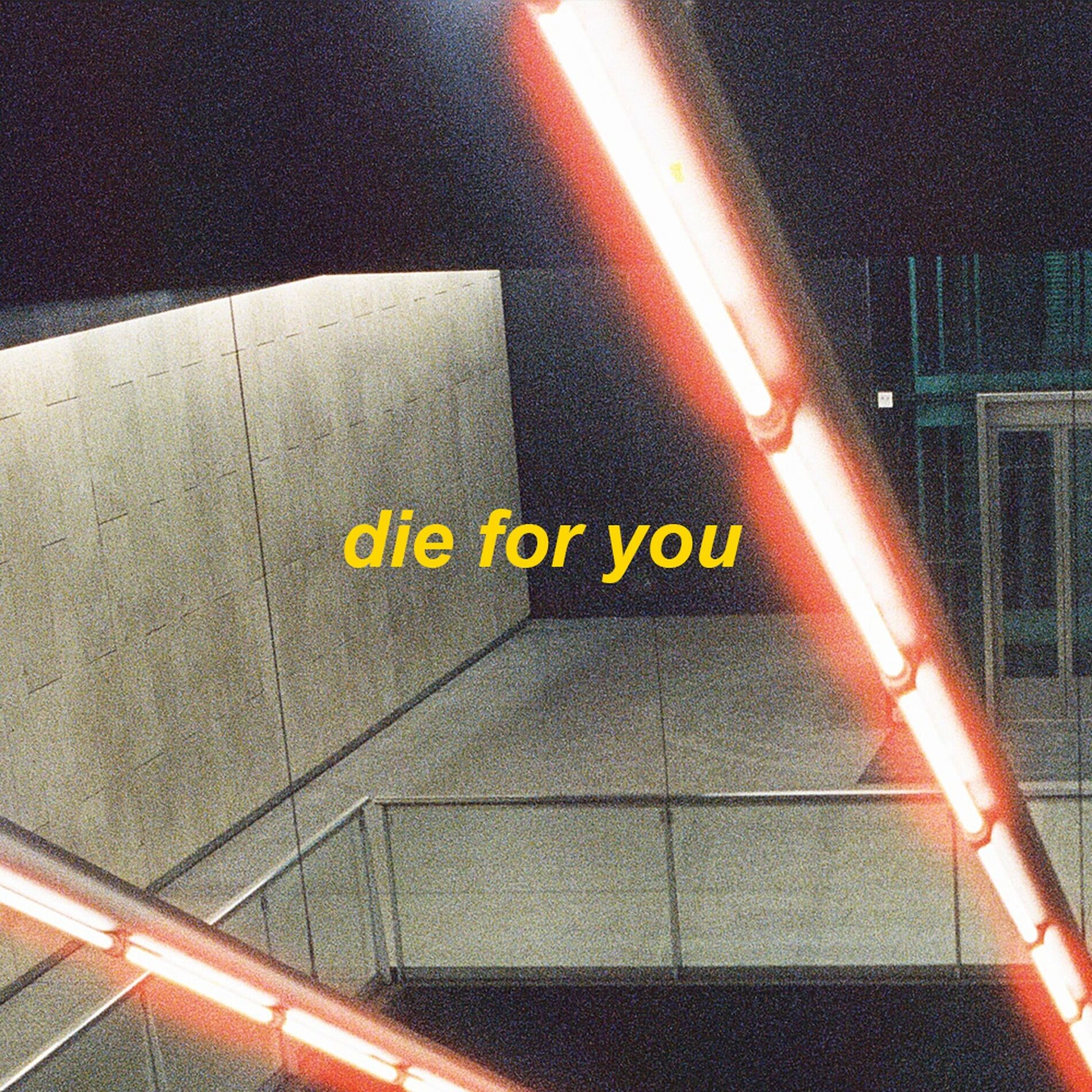 Album cover of die for you