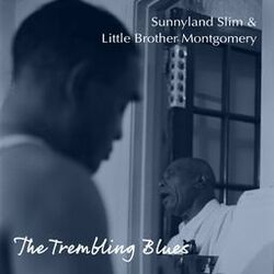 Cover of Trembling Blues in Chicago