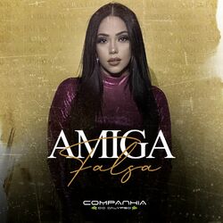 Cover of Amiga Falsa