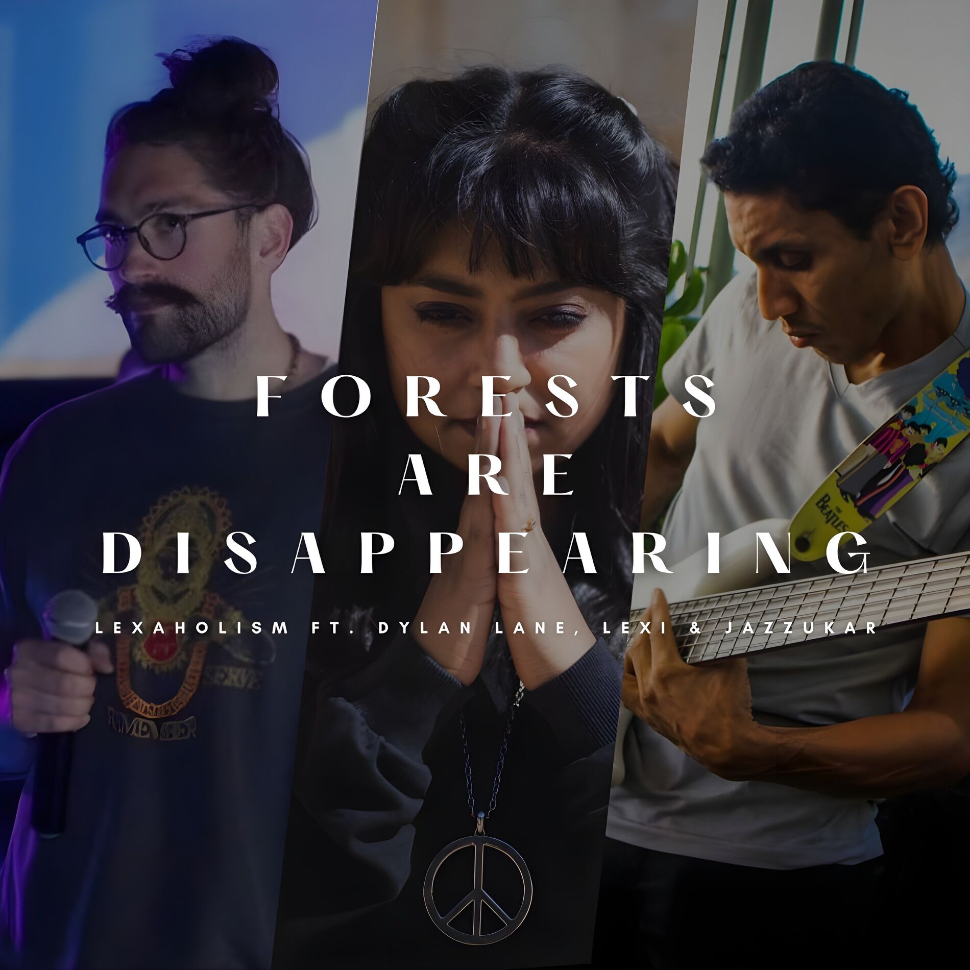 Album cover of Forests Are Disappearing (Remix)