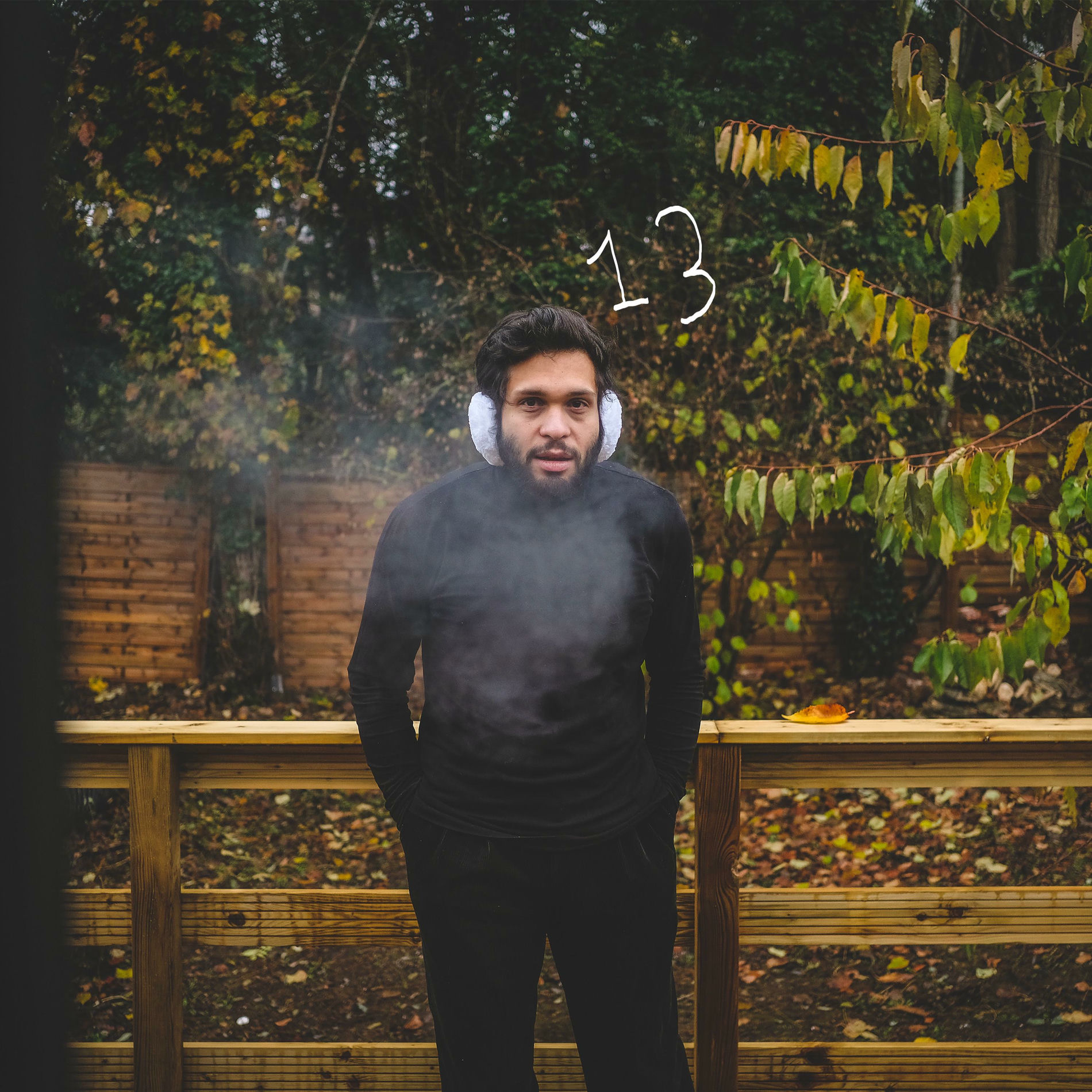 Album cover of Alone 13