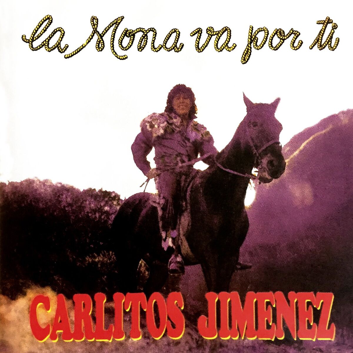 Album cover of La Mona Va Por Ti