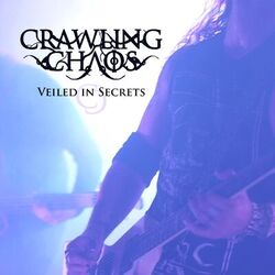 Cover of Veiled in Secrets