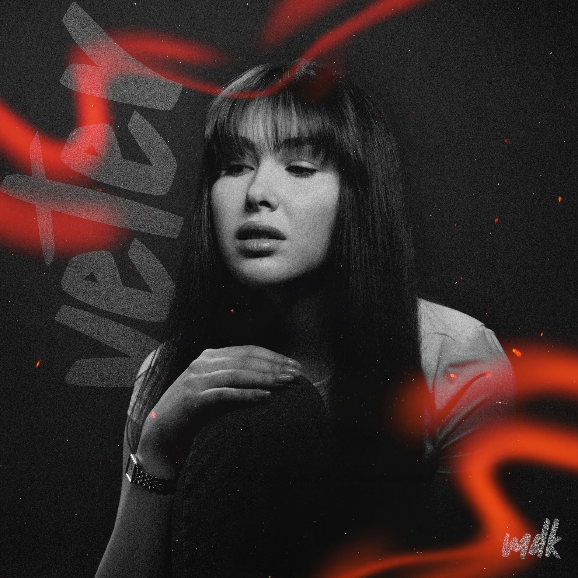 Album cover of Veter