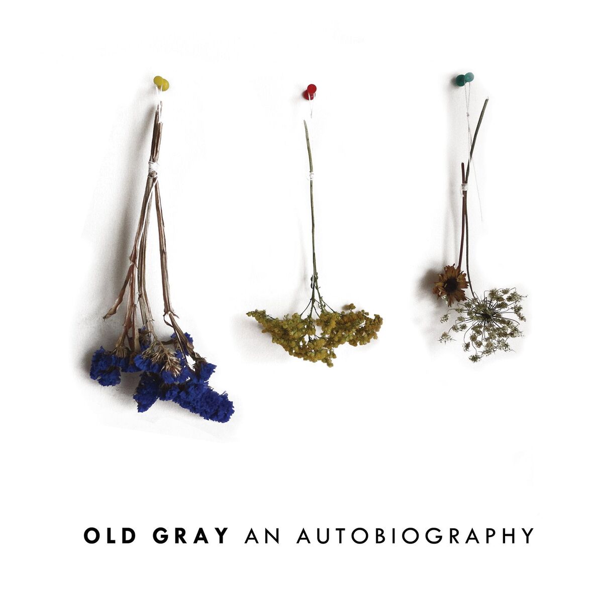 Album cover of An Autobiography