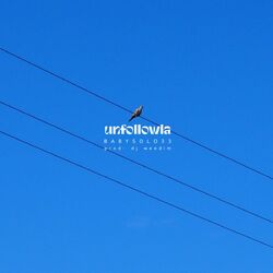 Cover of Unfollowla