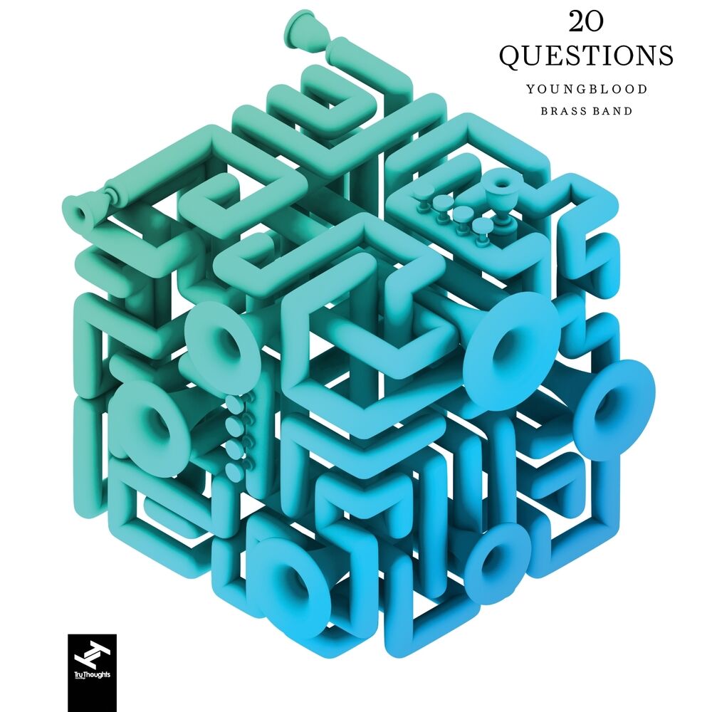 Picture of 20 Questions
