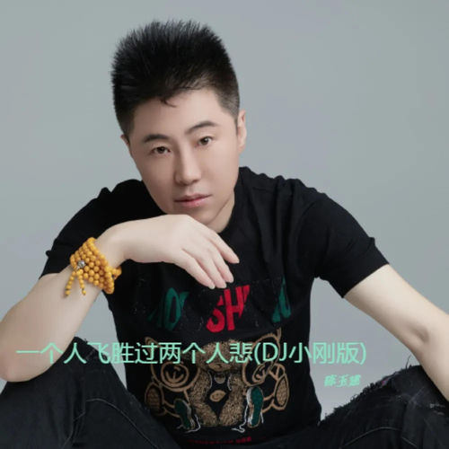 一个人飞胜过两个人悲 (DJ小刚版)