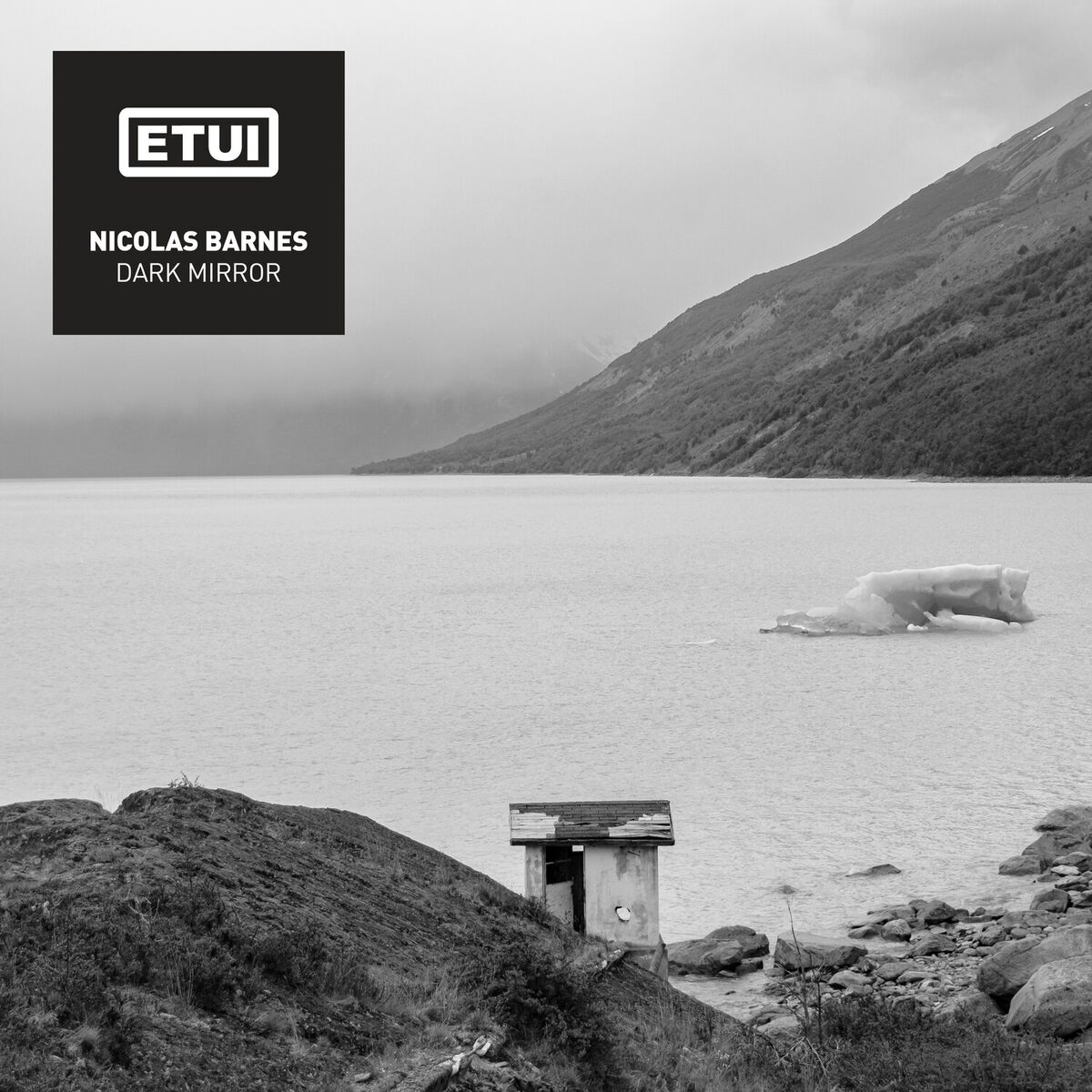 Album cover of Dark Mirror
