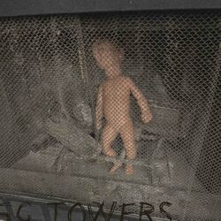 Cover of 5G TOWERS