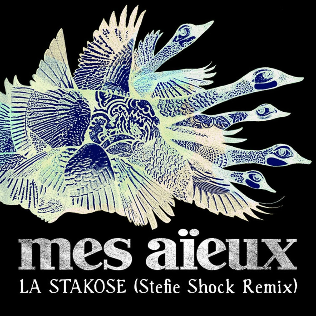 Album cover of La stakose (Stefie Shock Remix)
