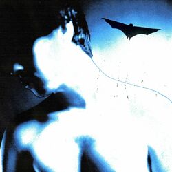 Cover of Headlights / Ford