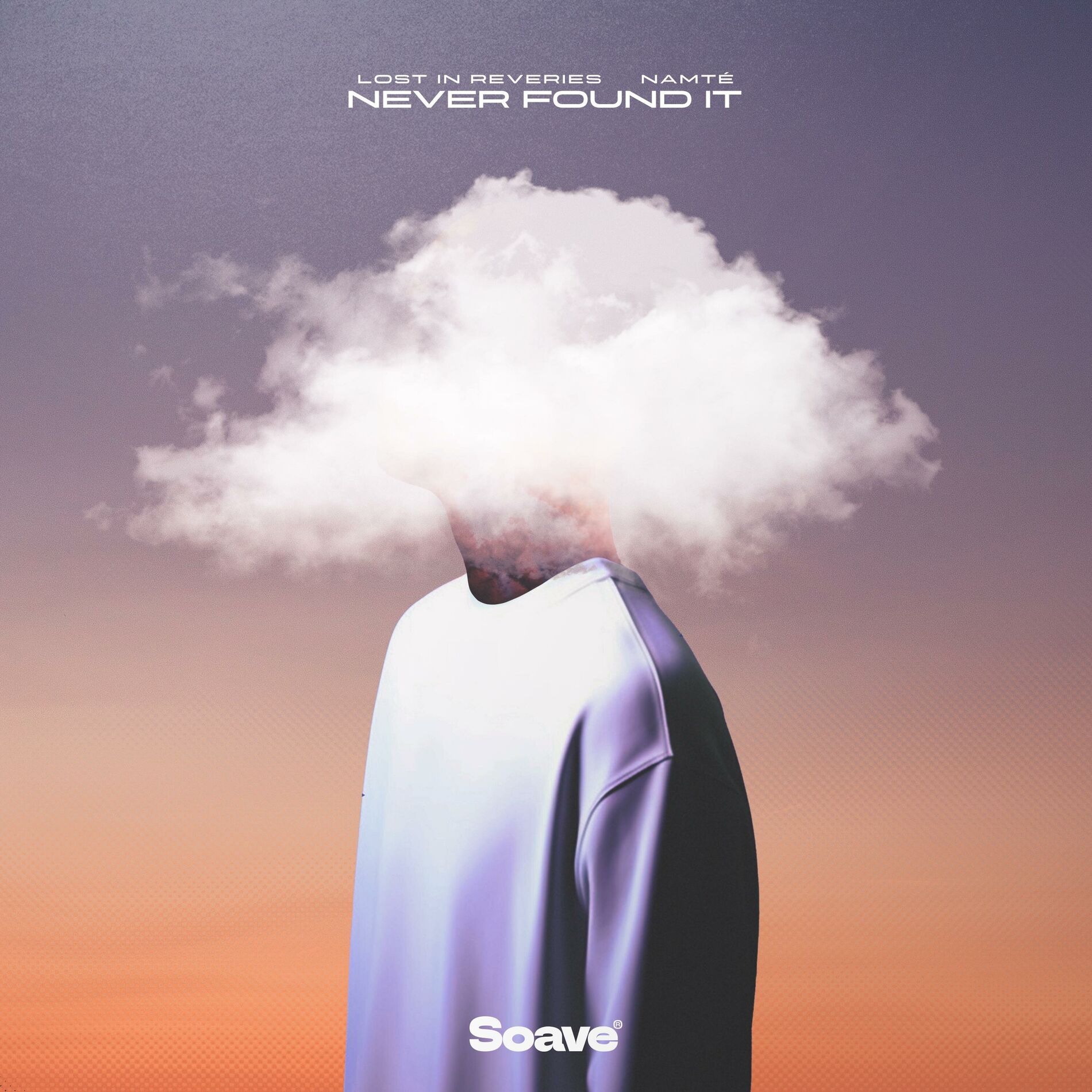 Album cover of Never Found It