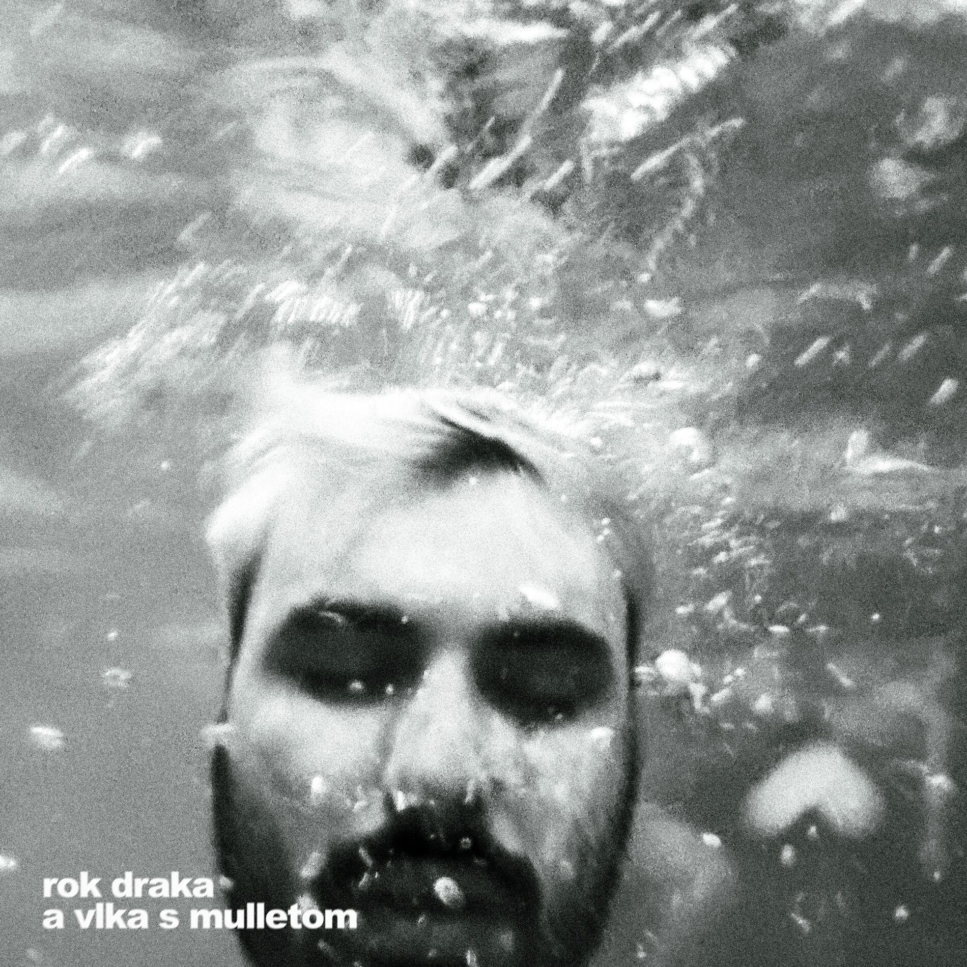 Album cover of rok draka a vlka s mulletom