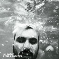 Cover of rok draka a vlka s mulletom