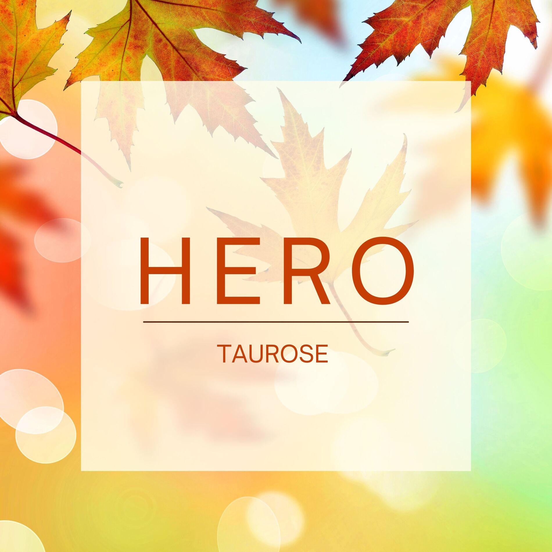 Album cover of Hero