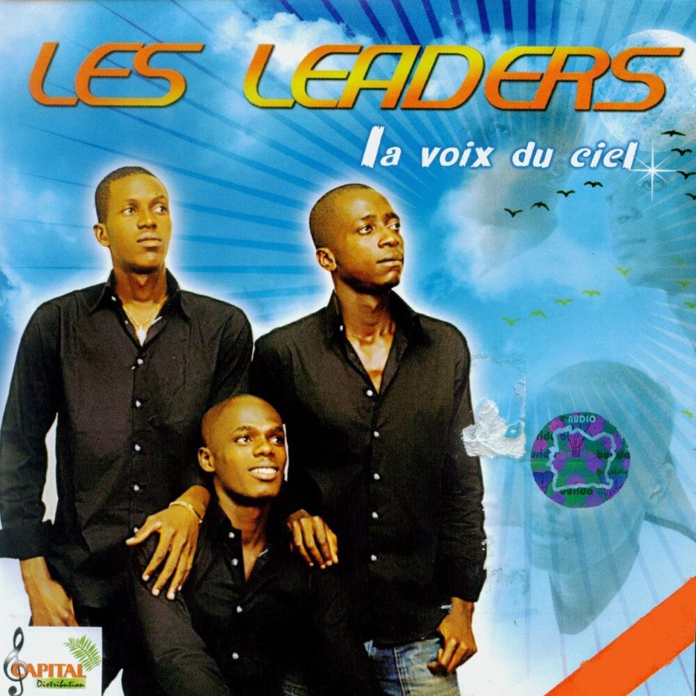 Picture of La voie du ciel