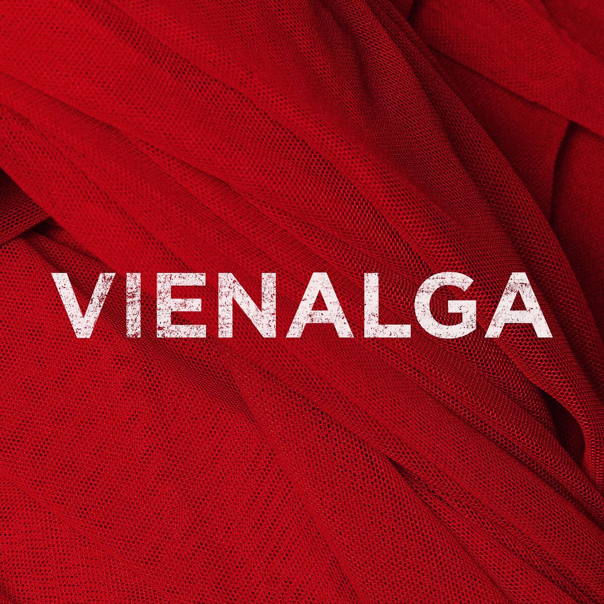 Album cover of Vienalga