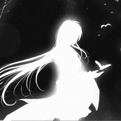 Cover of A Thousand Things I Could Tell You