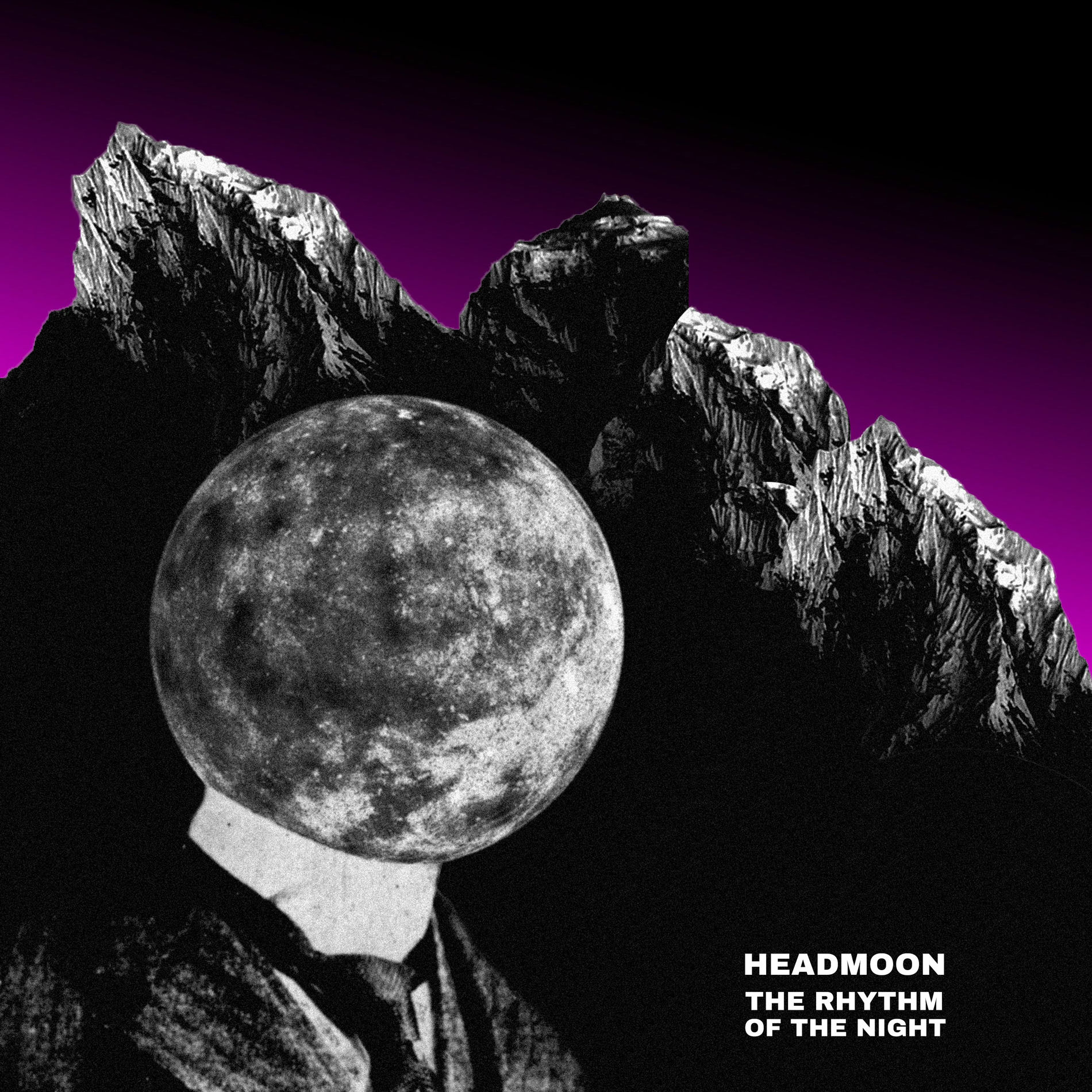 Album cover of The Rhythm Of The Night