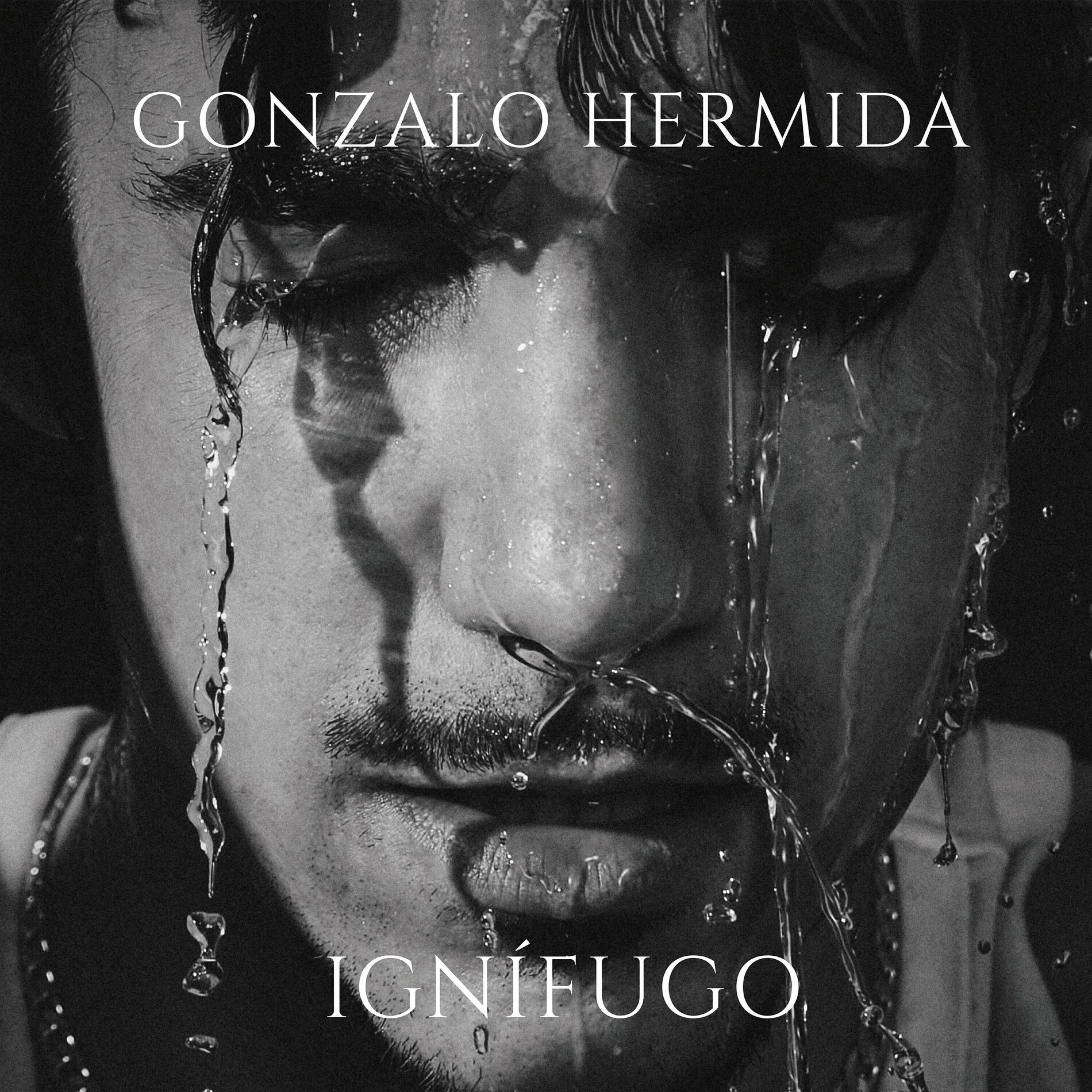 Album cover of Ignífugo