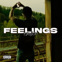 Cover of Feelings