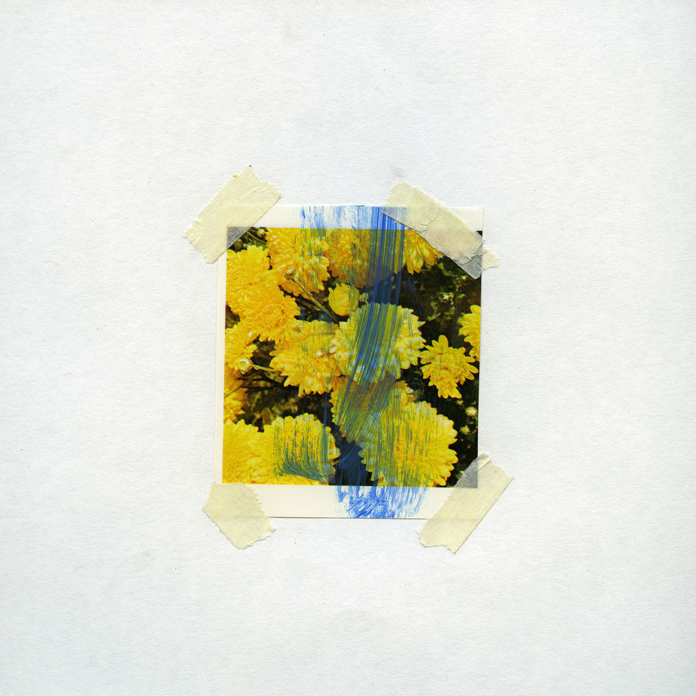 Album artwork for Vomiting up Flowers by The Spunloves