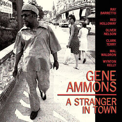 Cover of A Stranger In Town