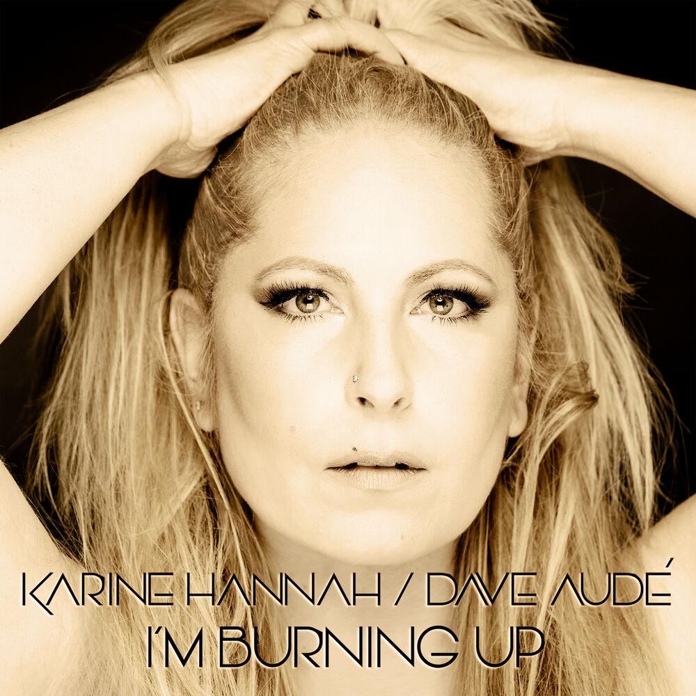 Picture of I'm Burning Up (Remix)